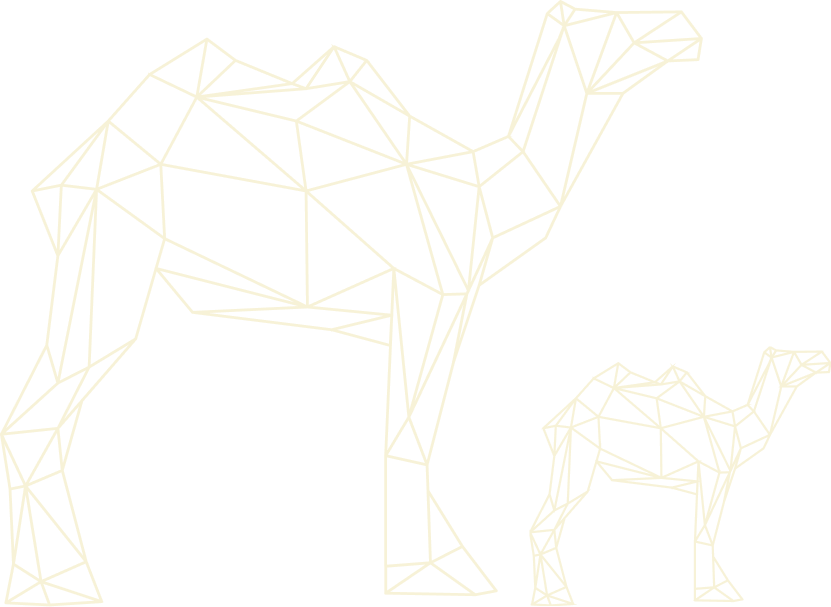 Two camels symbolizing the Camel mindset—resilient, resourceful startups built to last through challenges and long-term growth.